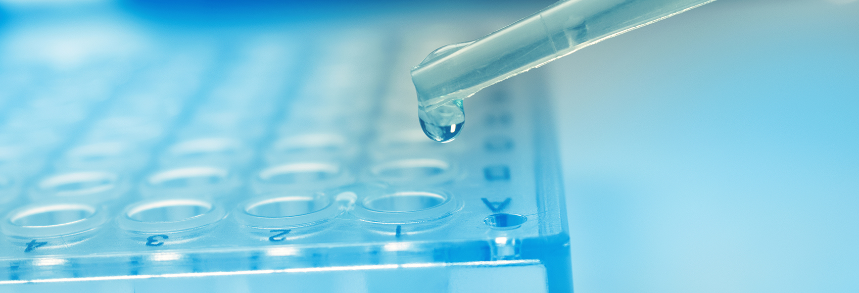 Pipette dropping stem cell research fluid on pcr plate. Medical