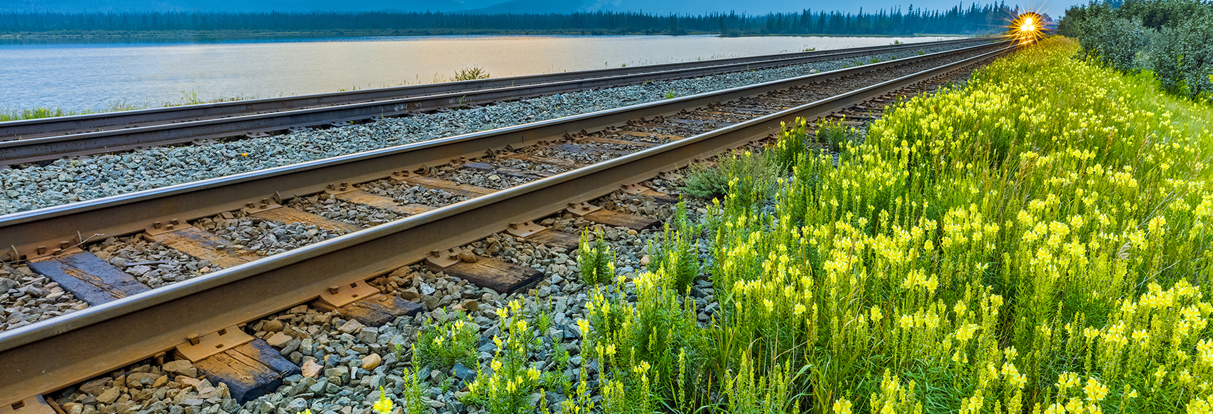 Railway, wildflowers and mountains.