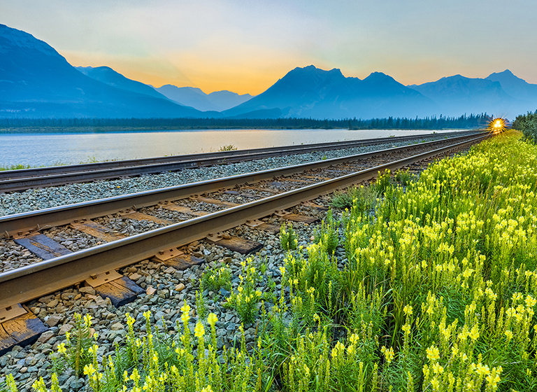 Railway, wildflowers and mountains.