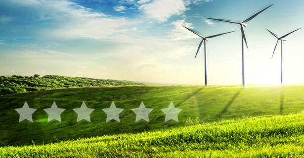 Windmill Field
